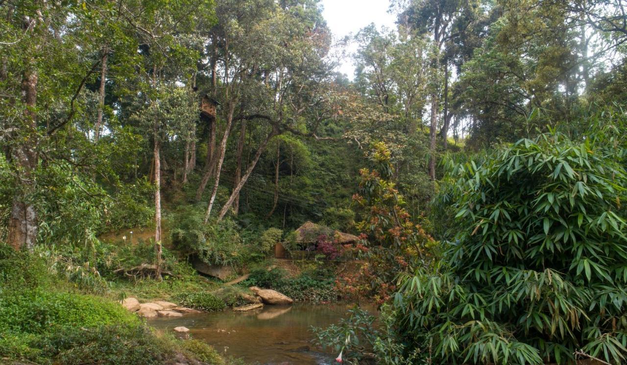 Ela Ecoland Nature Retreat Муннар Экстерьер фото