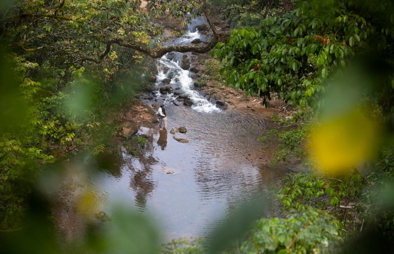 Ela Ecoland Nature Retreat Муннар Экстерьер фото