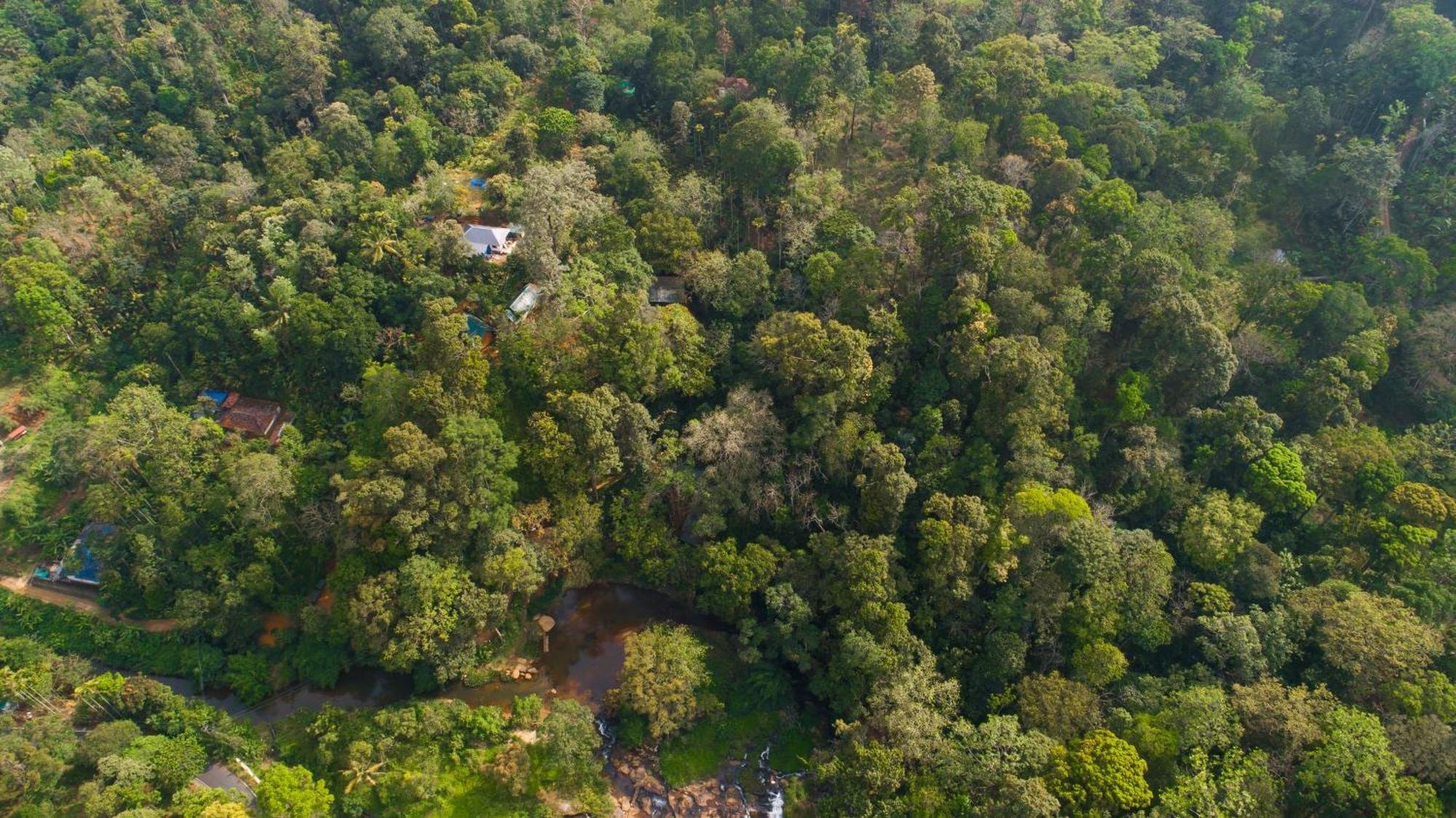Ela Ecoland Nature Retreat Муннар Экстерьер фото