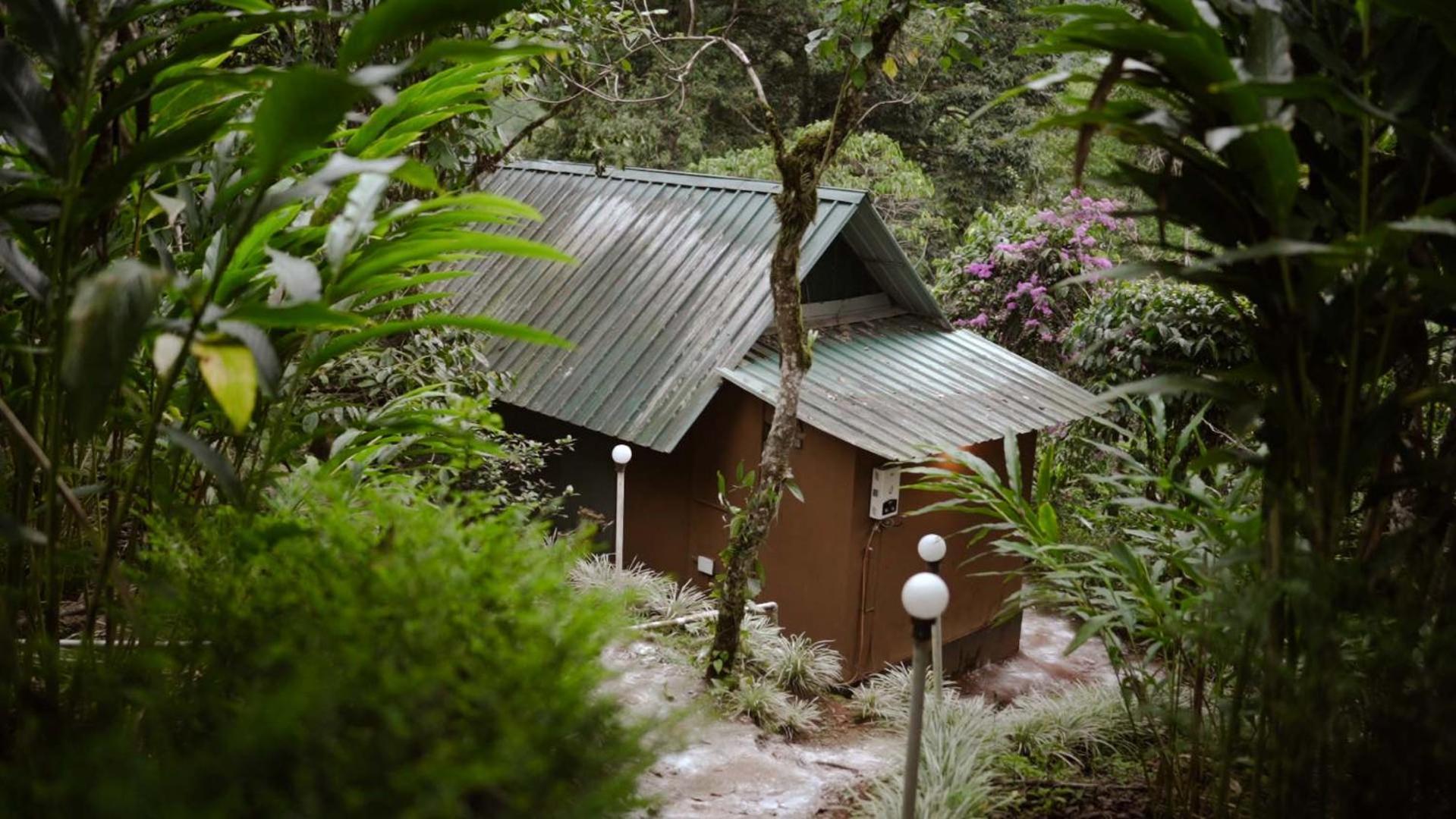 Ela Ecoland Nature Retreat Муннар Экстерьер фото