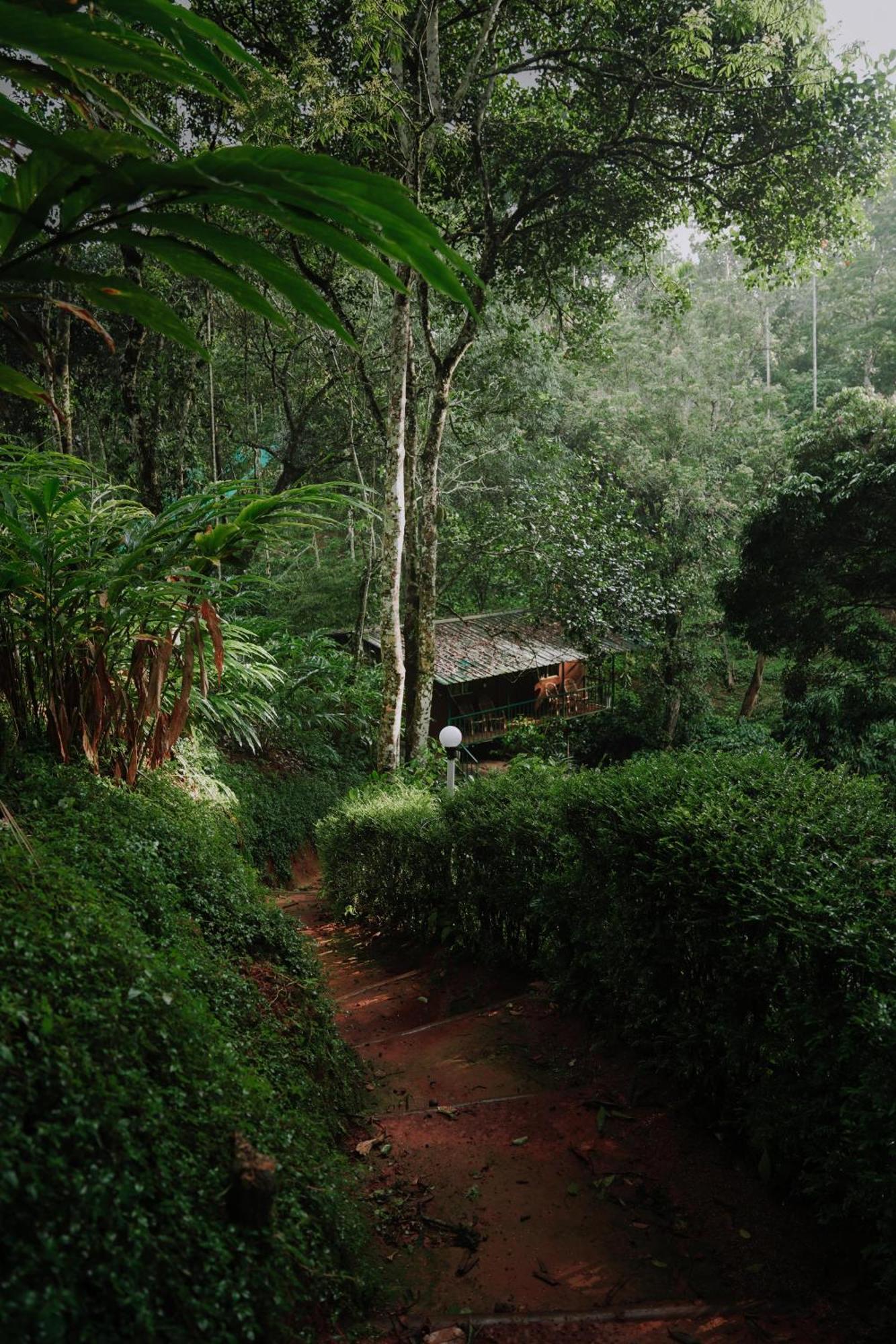 Ela Ecoland Nature Retreat Муннар Экстерьер фото