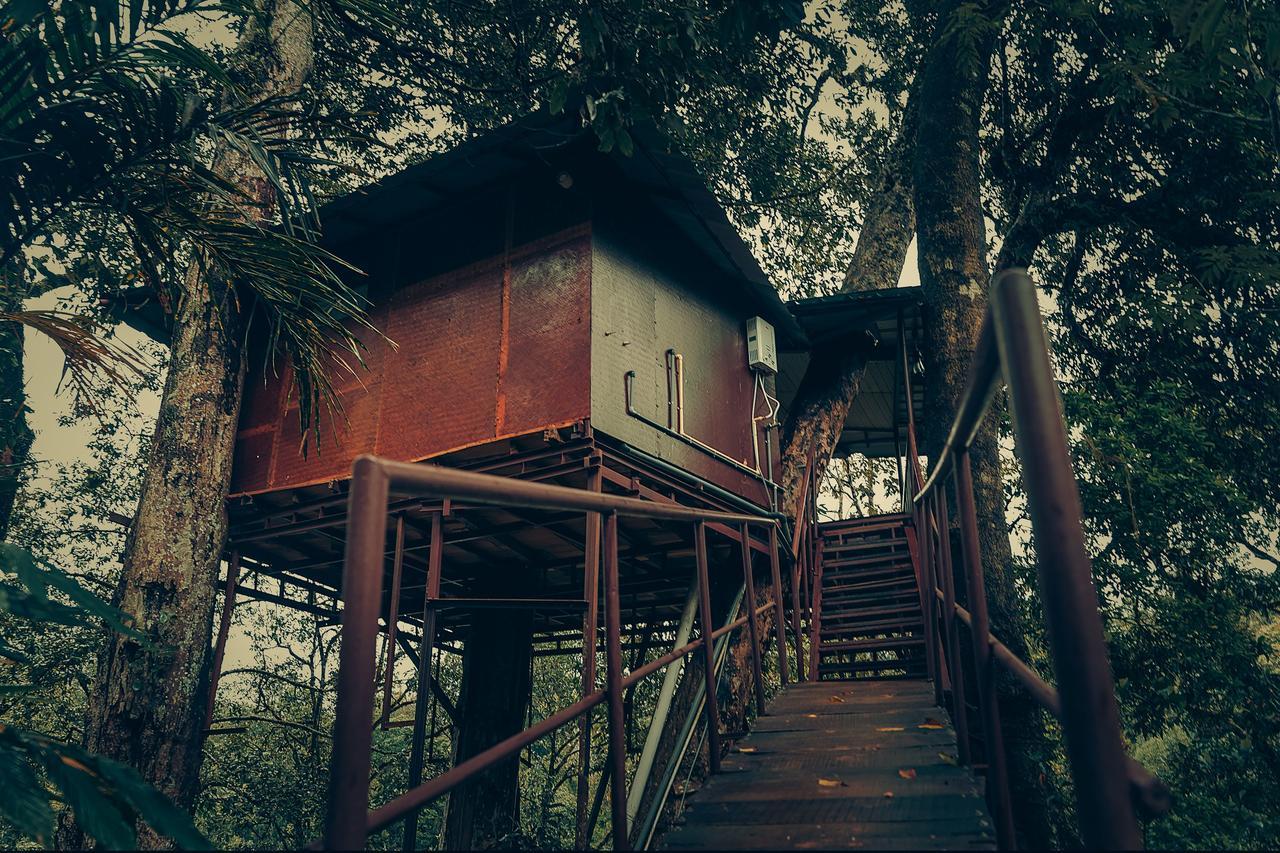 Ela Ecoland Nature Retreat Муннар Экстерьер фото